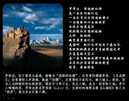 豪华轿车记忆卡